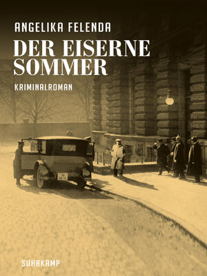 cover image of Der eiserne Sommer